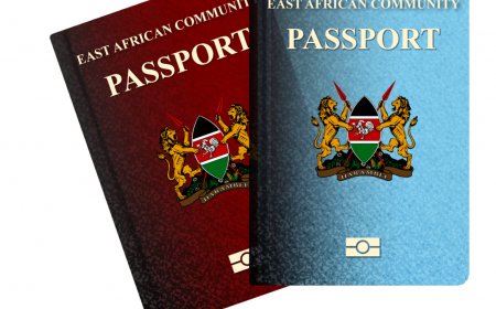 Kenyan Passport - Making Kenya's Information More Accessible