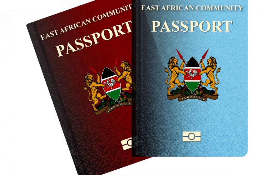 Types of Kenyan Passports - Making Kenya's Information More Accessible