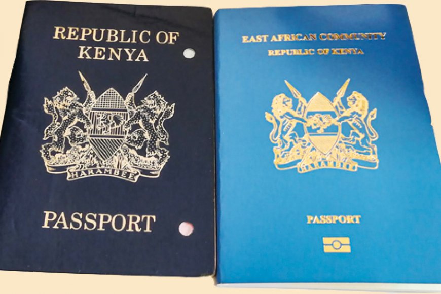 Kenyan Adult Passport Renewal Making Kenya's Information More Accessible