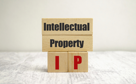 Intellectual Property and Copyright Laws