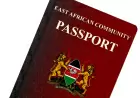 Guide to Obtaining a Diplomatic Passport