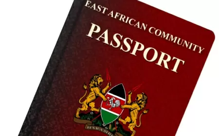 Guide to Obtaining a Diplomatic Passport