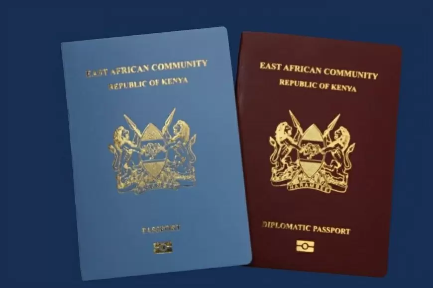 Requirements for a Kenyan Passport Application Making Kenya's