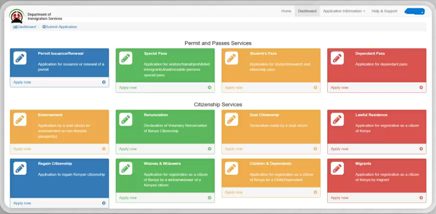 Key Services Offered by the eFNS Portal for Foreign Nationals