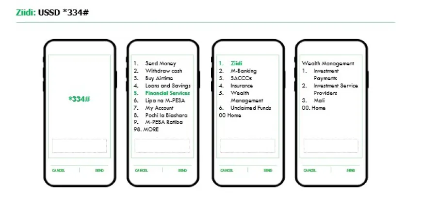 Accessing Ziidi via USSD *334# on a phone.