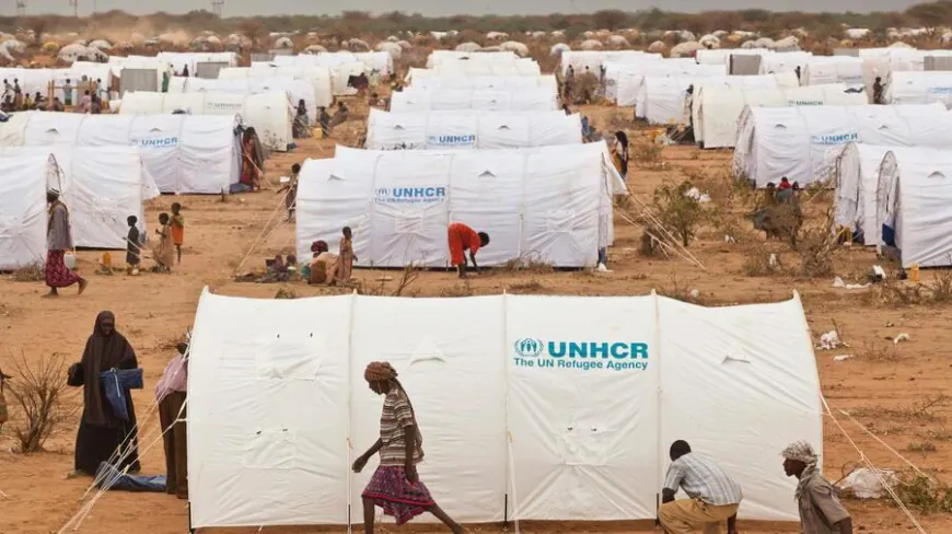 What is a Movement Pass and Why is it Necessary in Refugee Camps in Kenya?