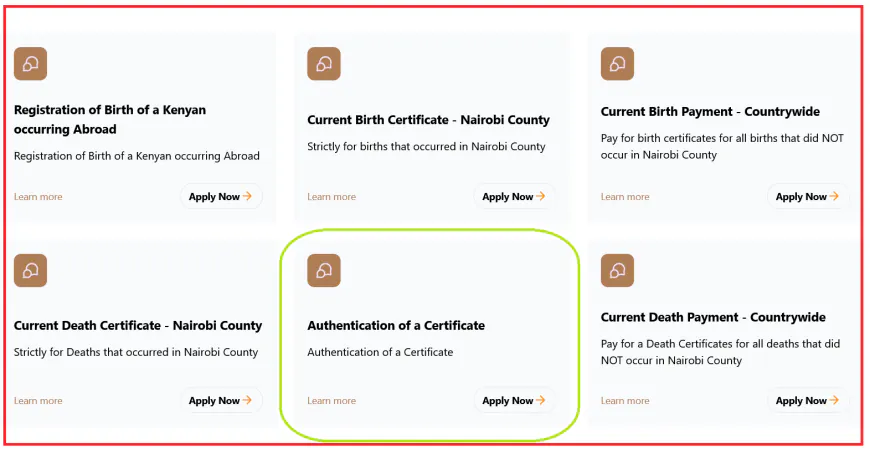 The Application Process for Verifying a Kenyan Birth Certificate