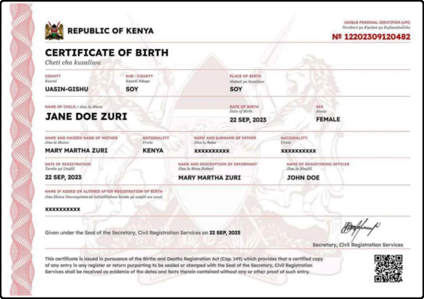 The Role of Kenyan Embassies and Consulates in Birth Registration